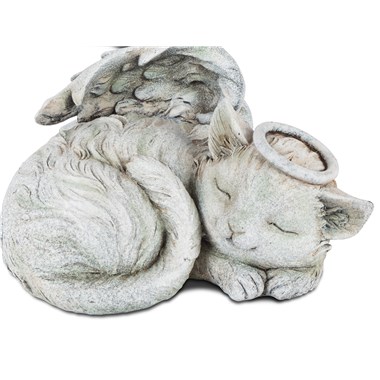 ST117cat
